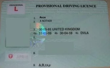 Provisional License